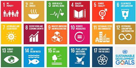 ОГМВ в деле реализации Целей устойчивого развития