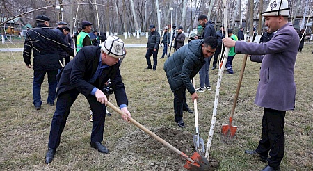 In Osh 10 thousand seedlings were planted in one day
